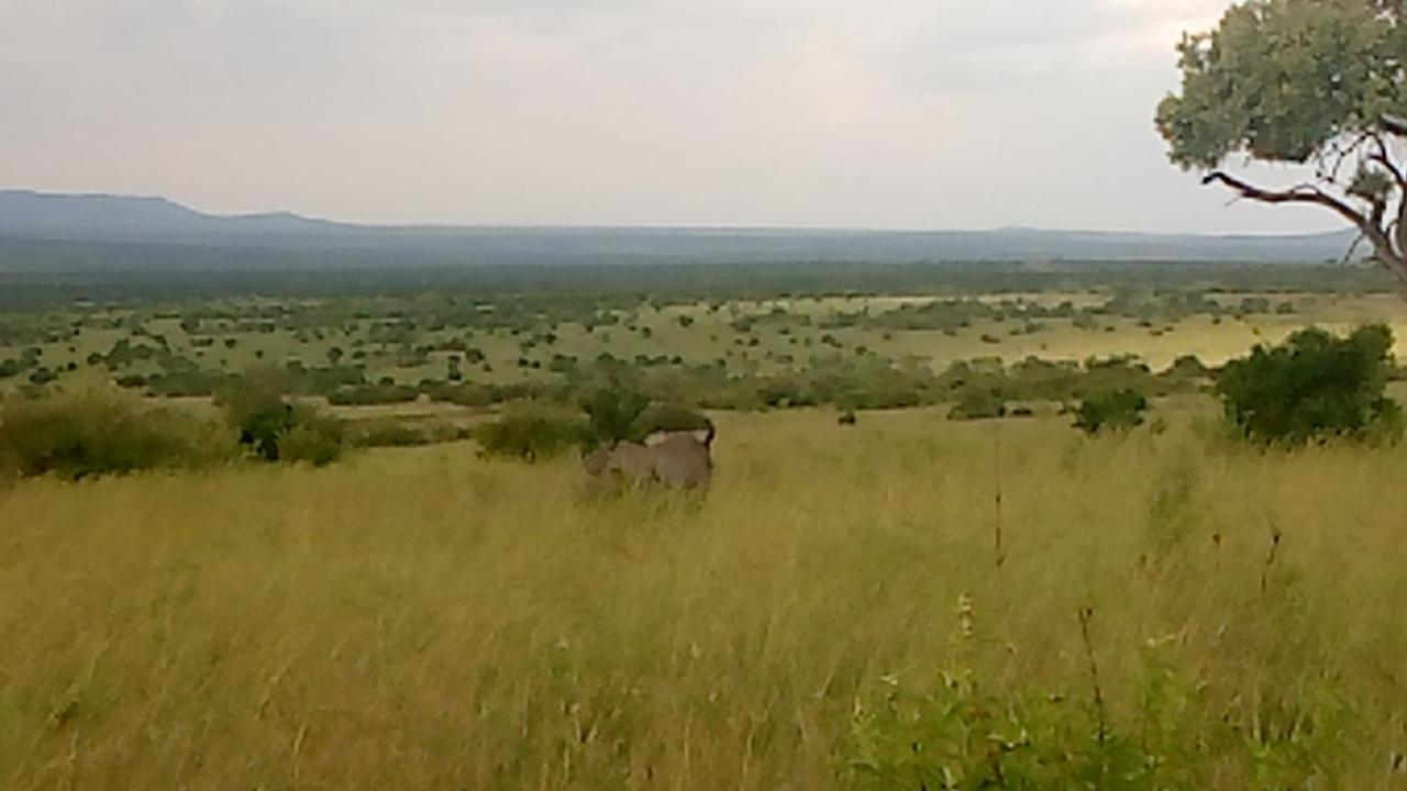 Semadep Safari Camp Bed and Breakfast Sekenani Eksteriør billede